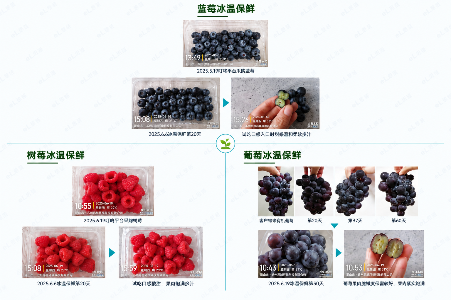 保鲜技术资料 01