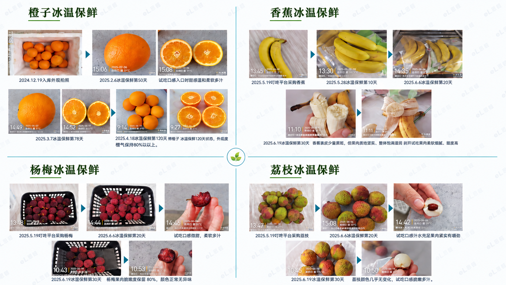 保鲜技术资料 02