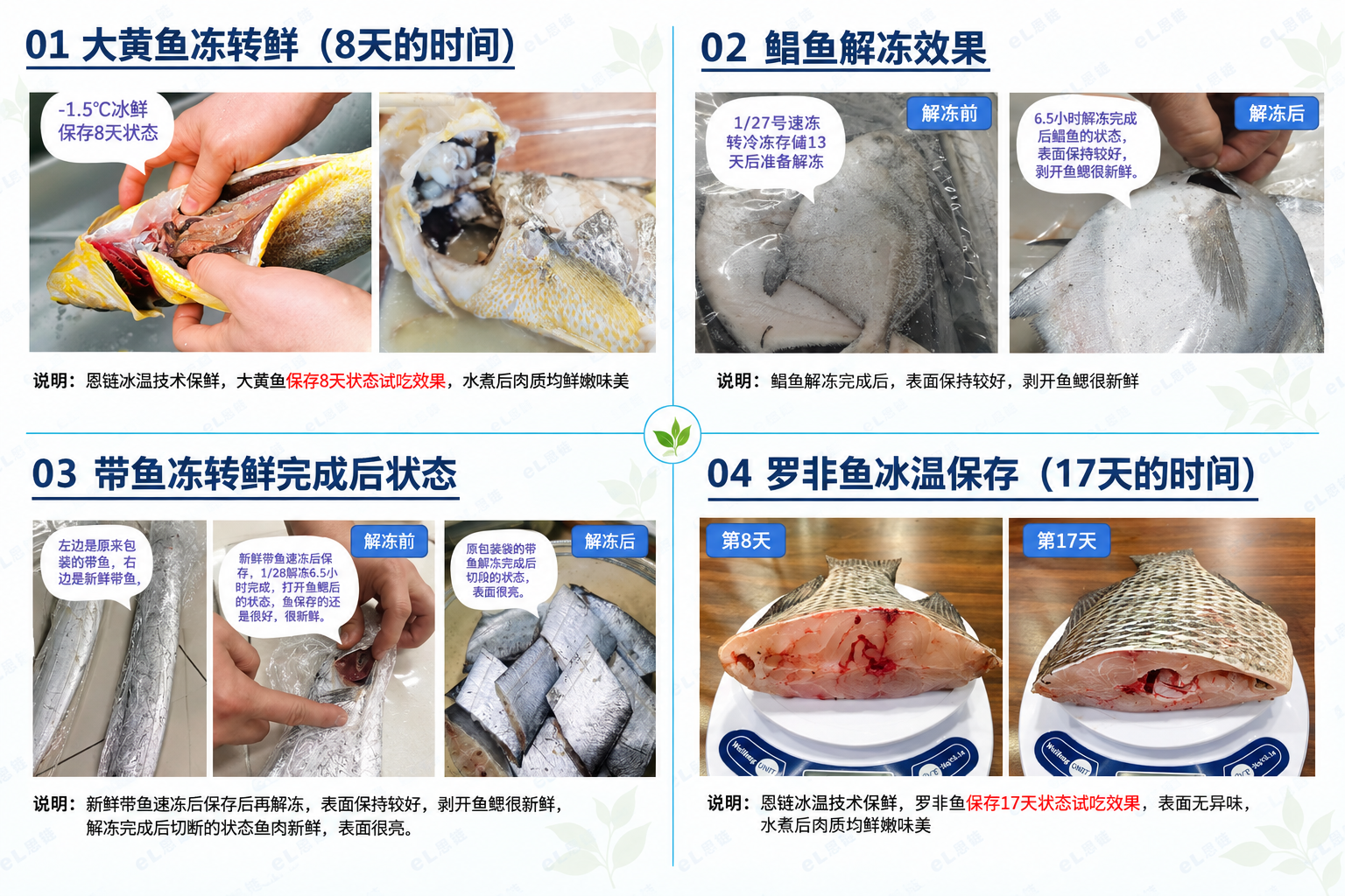 保鲜技术资料 04