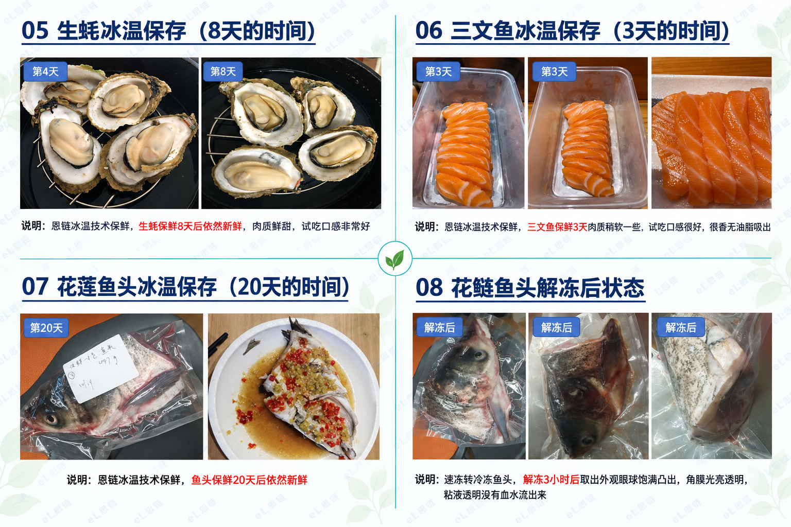 保鲜技术资料 05