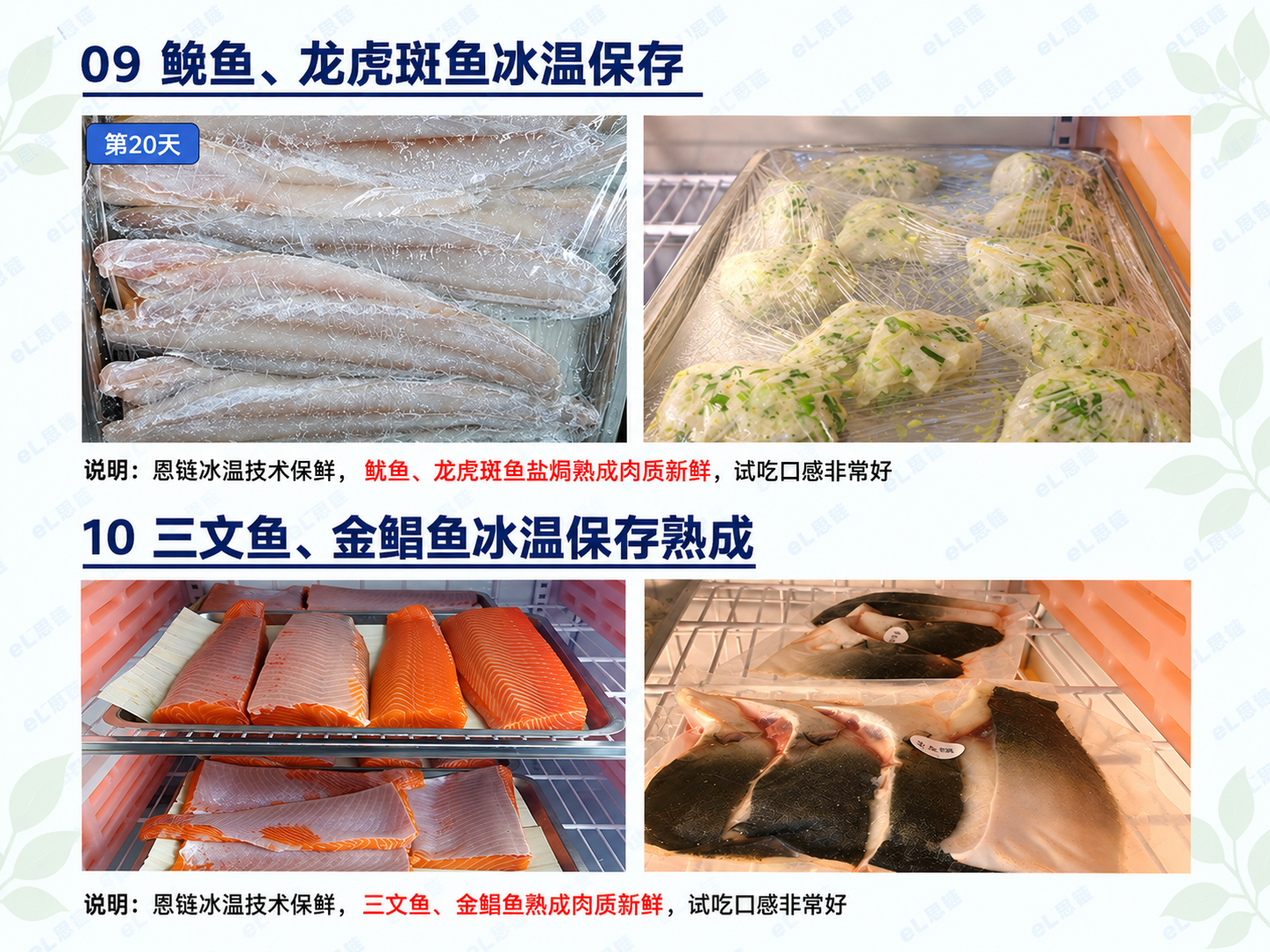 保鲜技术资料 06